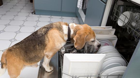 Este timpul pentru o nouă mașină de spălat vase? 1 is-it-time-for-a-new-dishwasher?